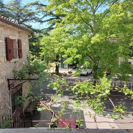 Bordon Wines, Estate With Accommodation Dekani Exterior foto